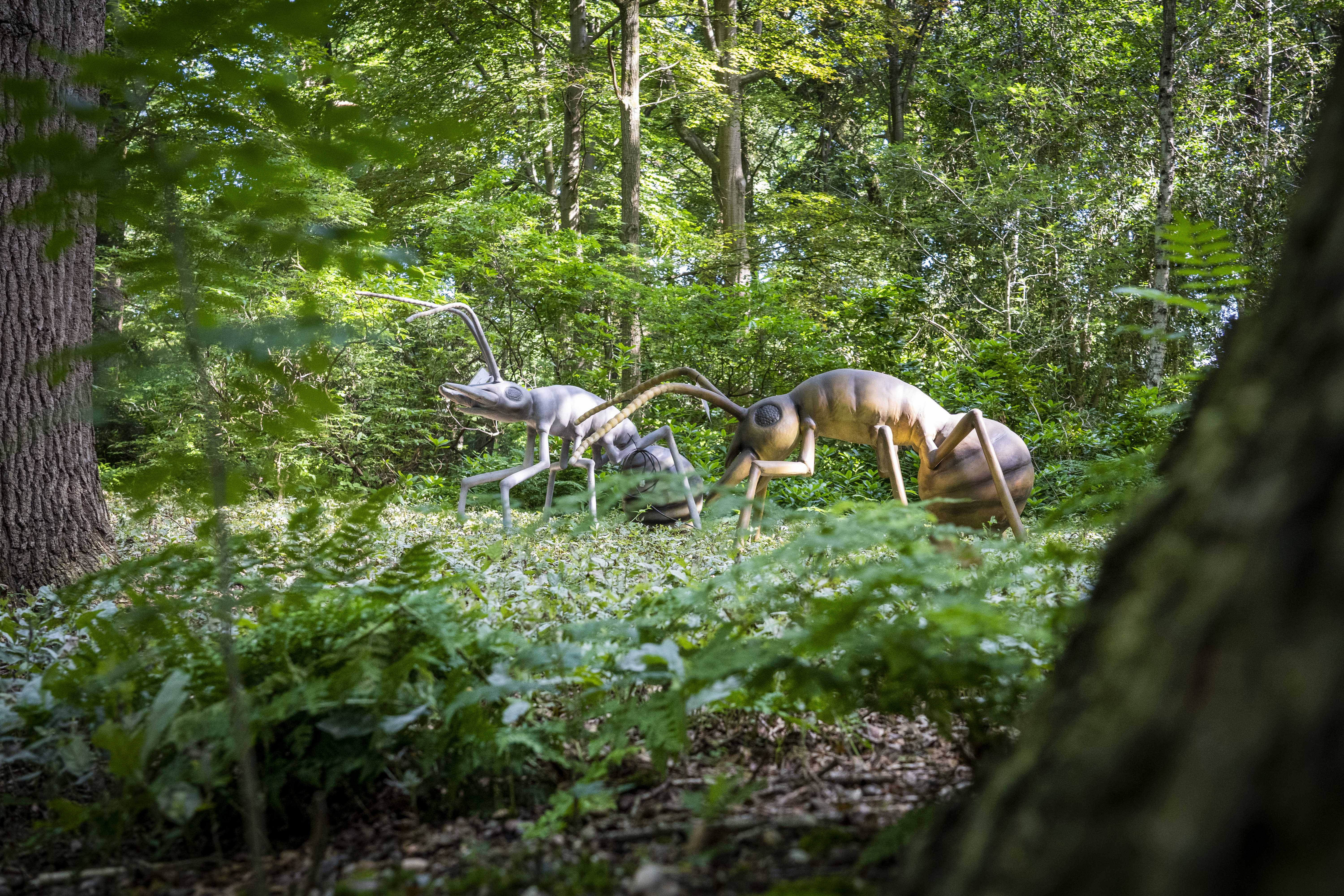 Entreeticket voor BIG INSECTS bij Paleis Soestdijk in Baarn