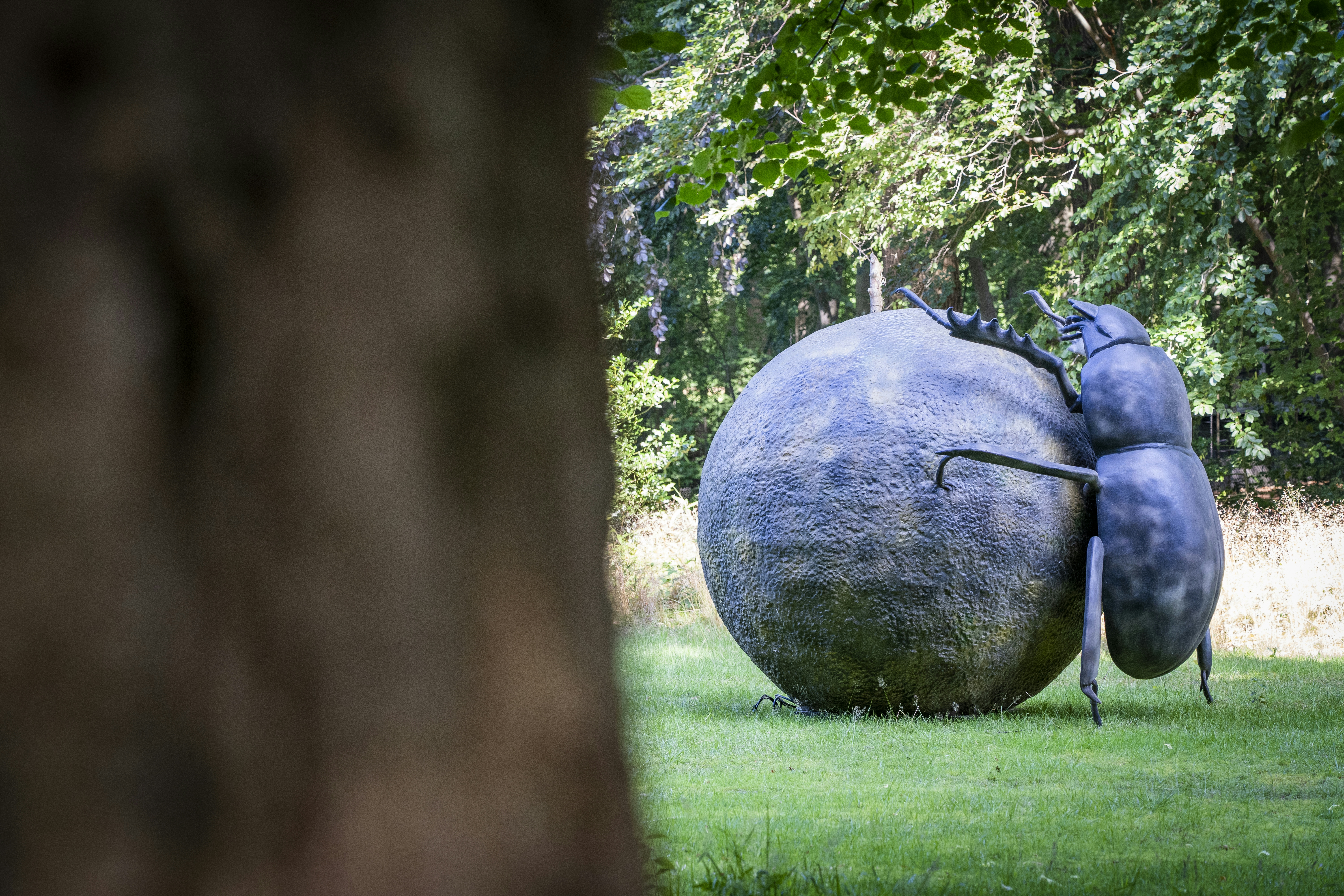 Entreeticket voor BIG INSECTS bij Paleis Soestdijk in Baarn