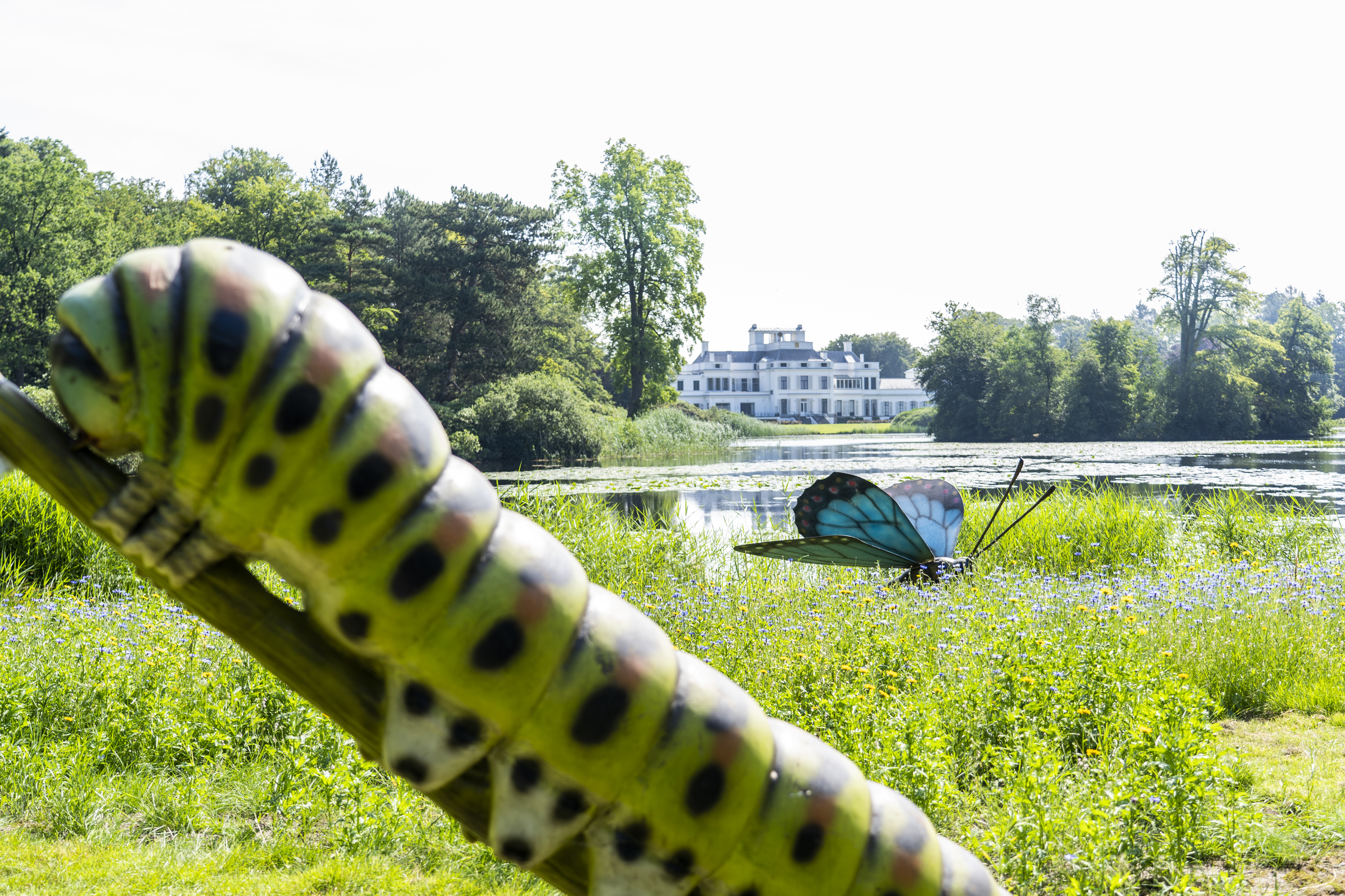 Entreeticket voor BIG INSECTS bij Paleis Soestdijk in Baarn