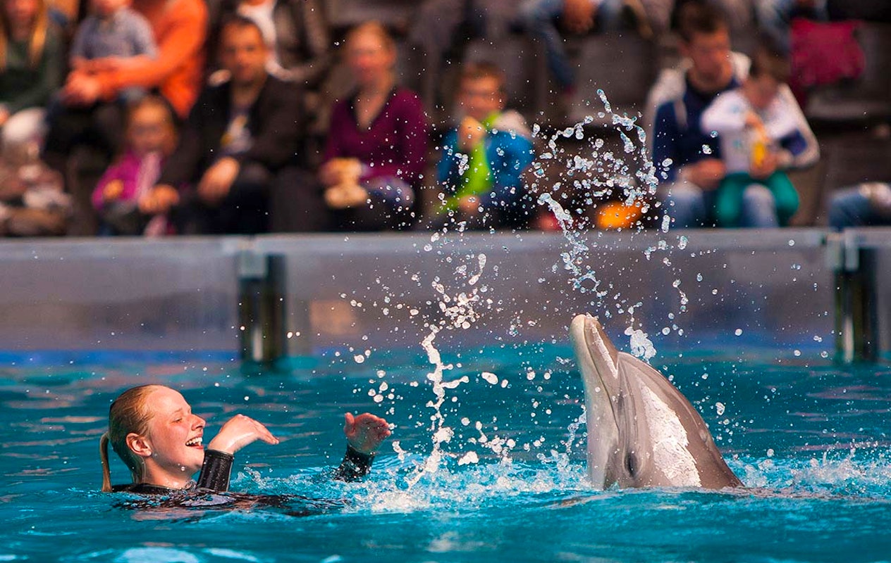 Entreeticket Boudewijn Seapark