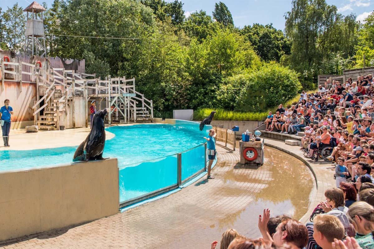 Entreeticket Boudewijn Seapark