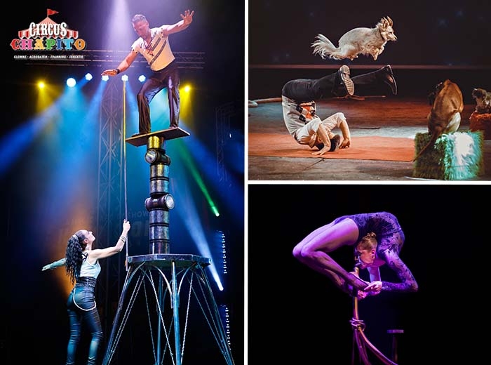 Entreeticket Circus Chapito
