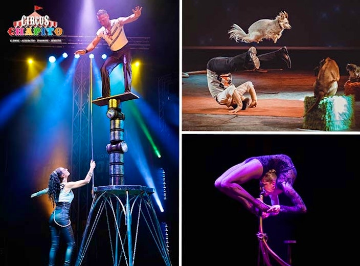Entreeticket Circus Chapito