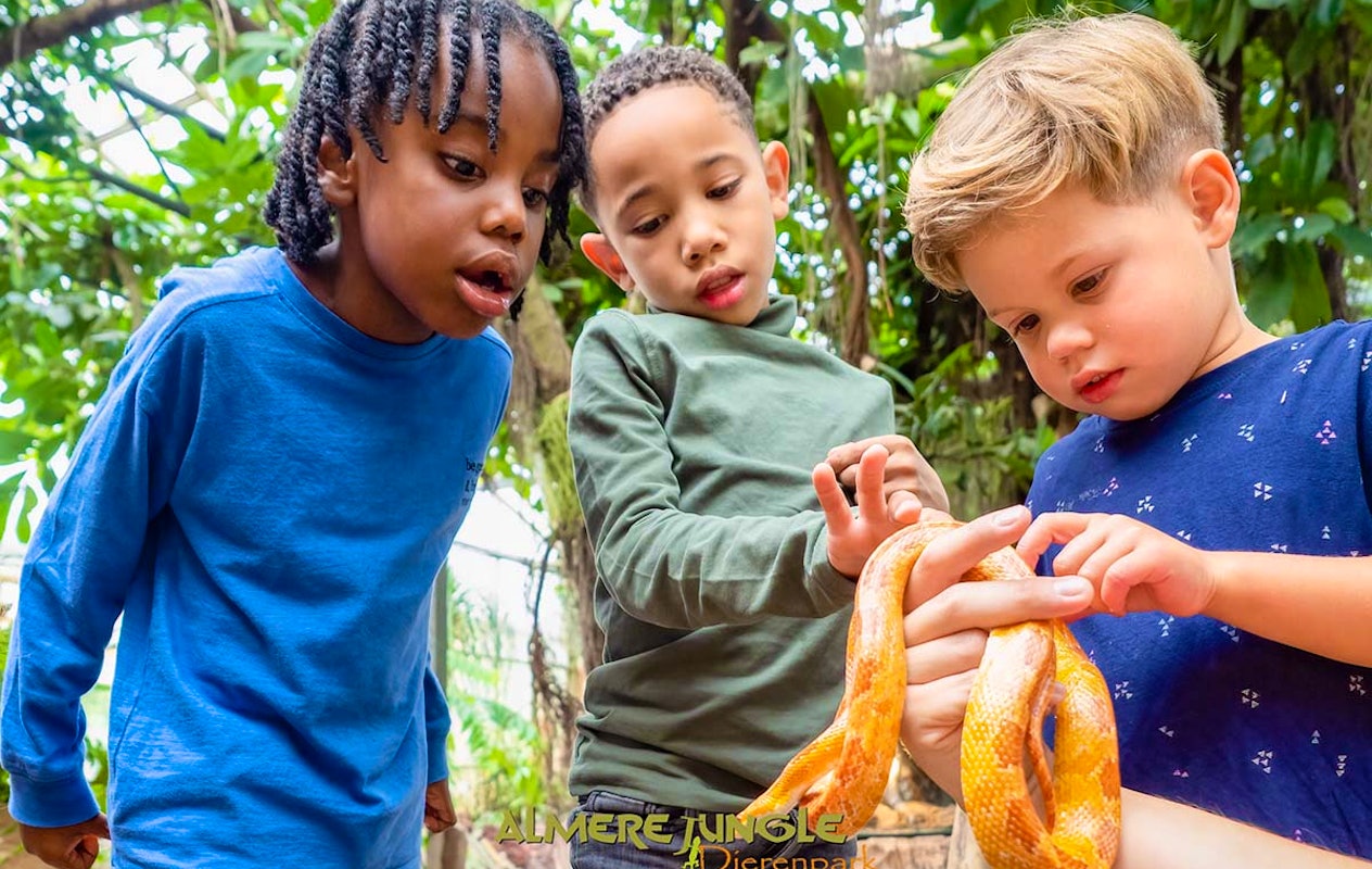 Entreeticket Almere Jungle + hapje en drankje