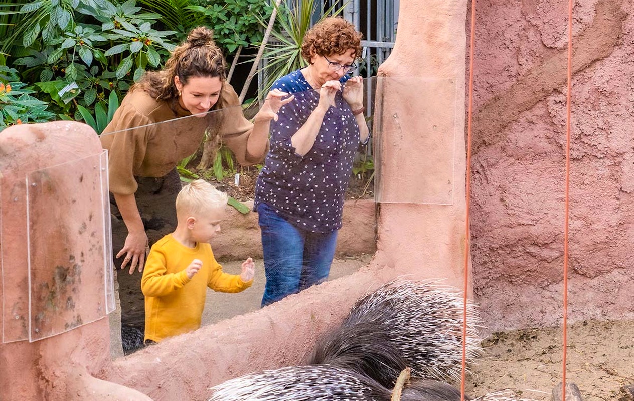 Entreeticket Almere Jungle + hapje en drankje