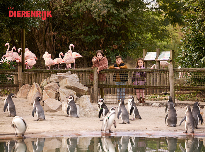 Entreeticket Dierenrijk