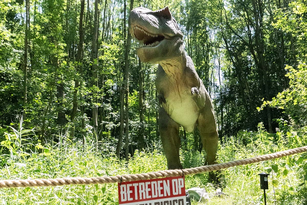 Entreeticket Dino Fabriek op Vliegveld Twente