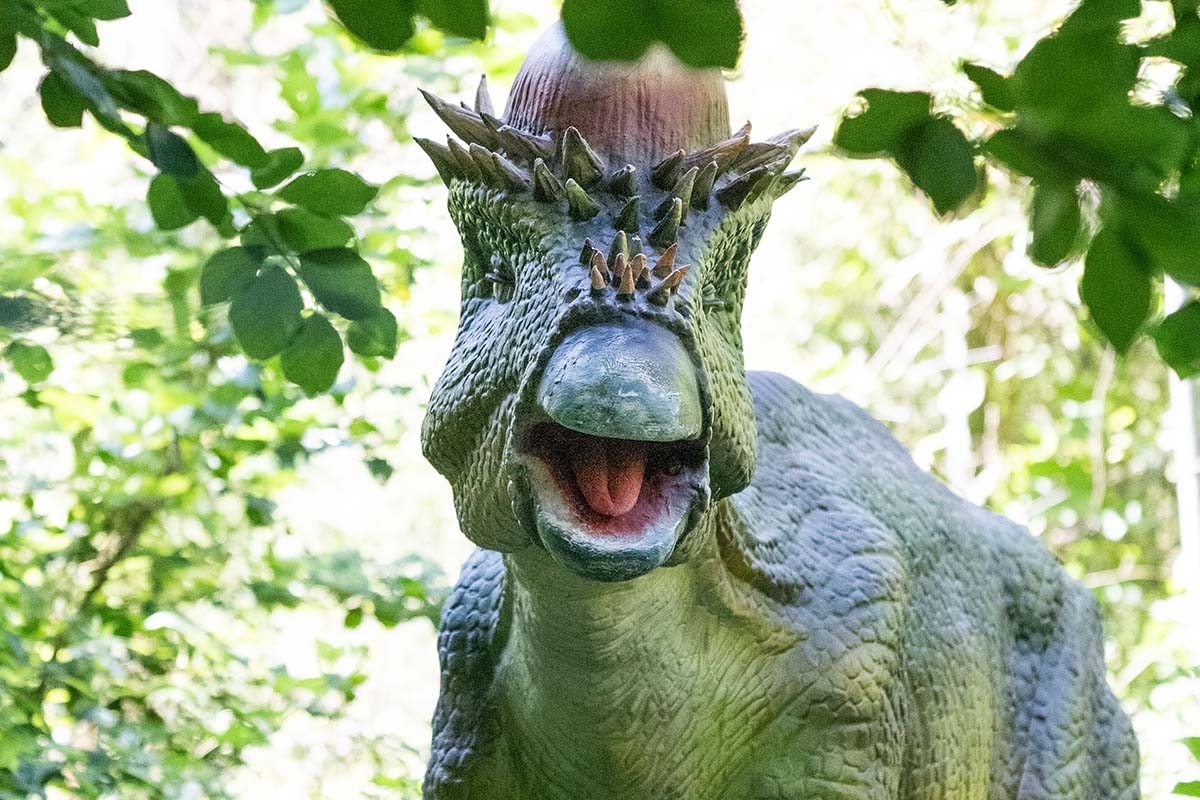 Entreeticket Dino Fabriek op Vliegveld Twente