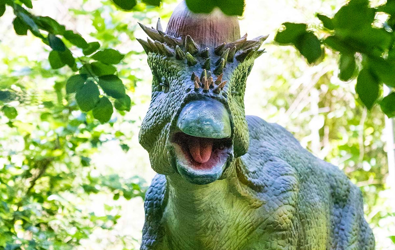 Entreeticket Dino Fabriek op Vliegveld Twente