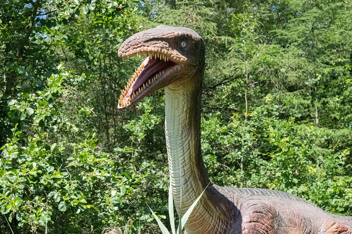 Entreeticket Dino Fabriek op Vliegveld Twente