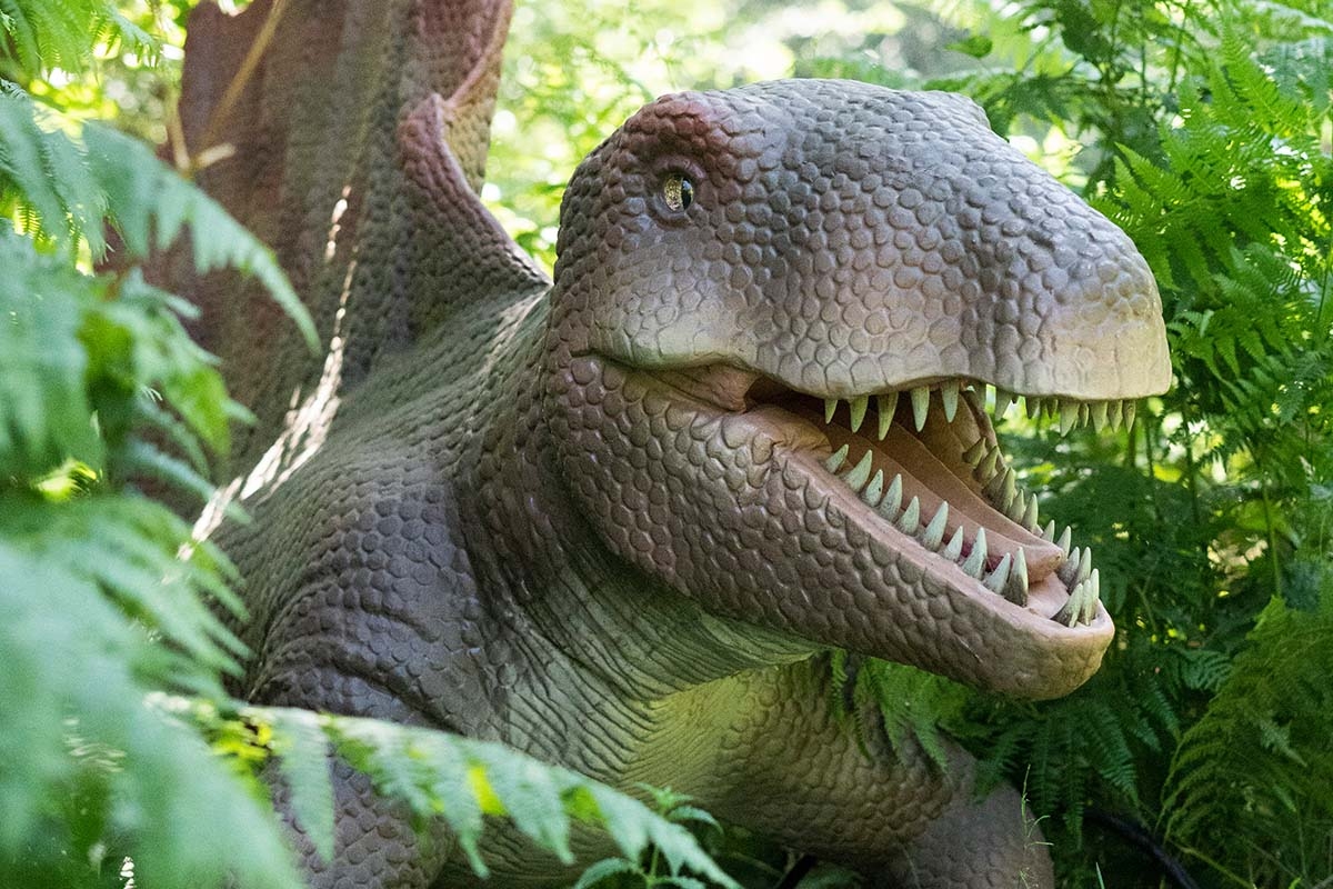 Entreeticket Dino Fabriek op Vliegveld Twente