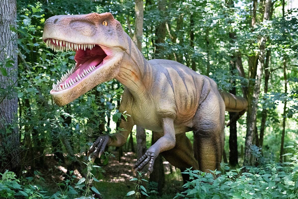 Entreeticket Dino Fabriek op Vliegveld Twente