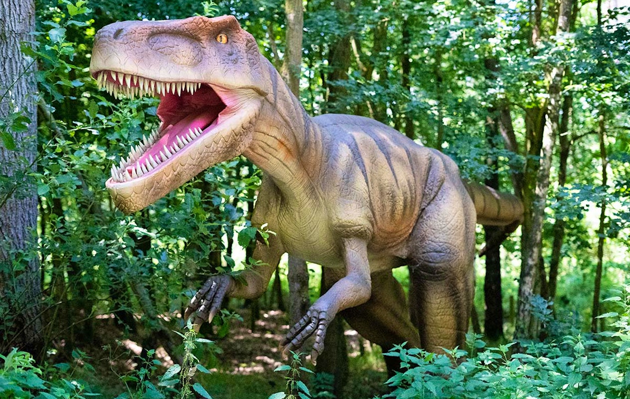 Entreeticket Dino Fabriek op Vliegveld Twente