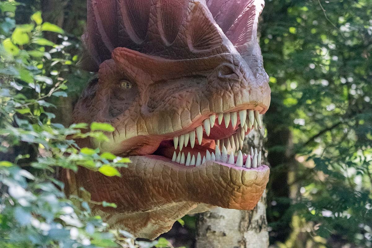 Entreeticket Dino Fabriek op Vliegveld Twente