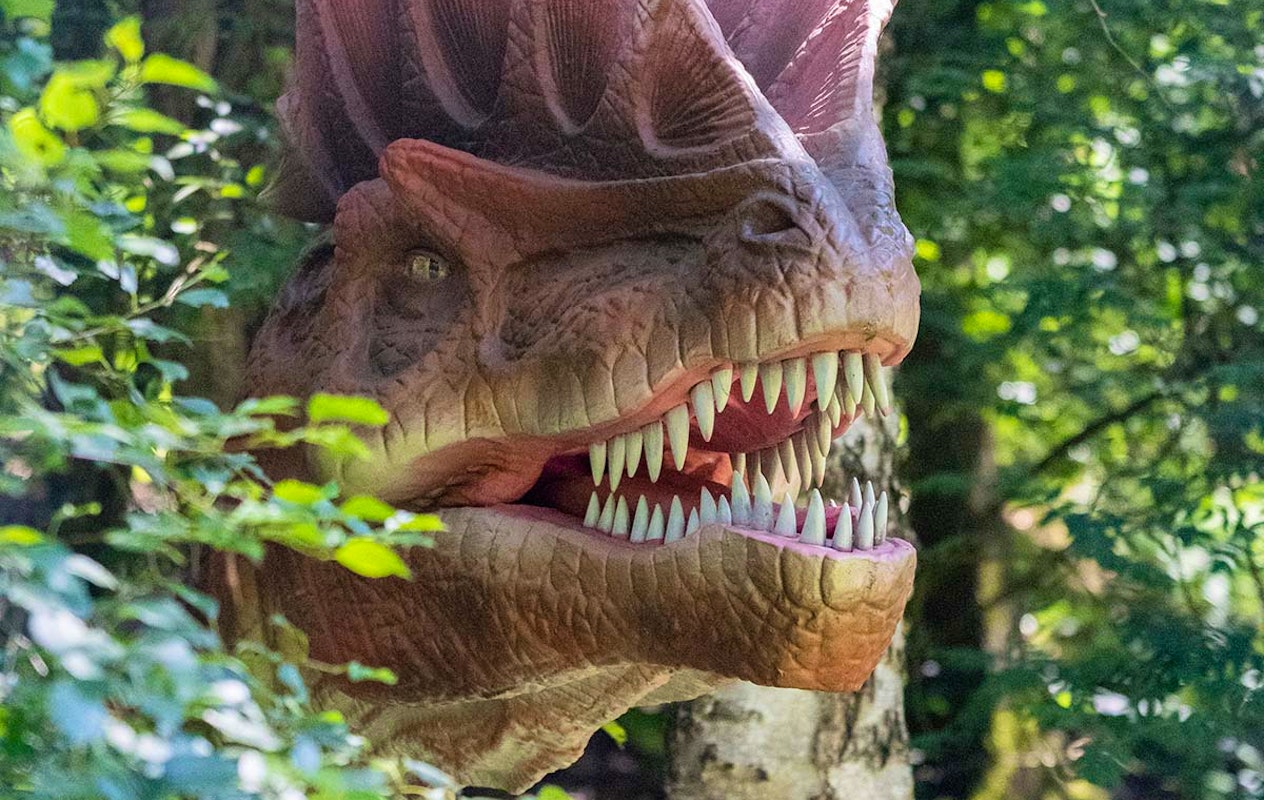 Entreeticket Dino Fabriek op Vliegveld Twente