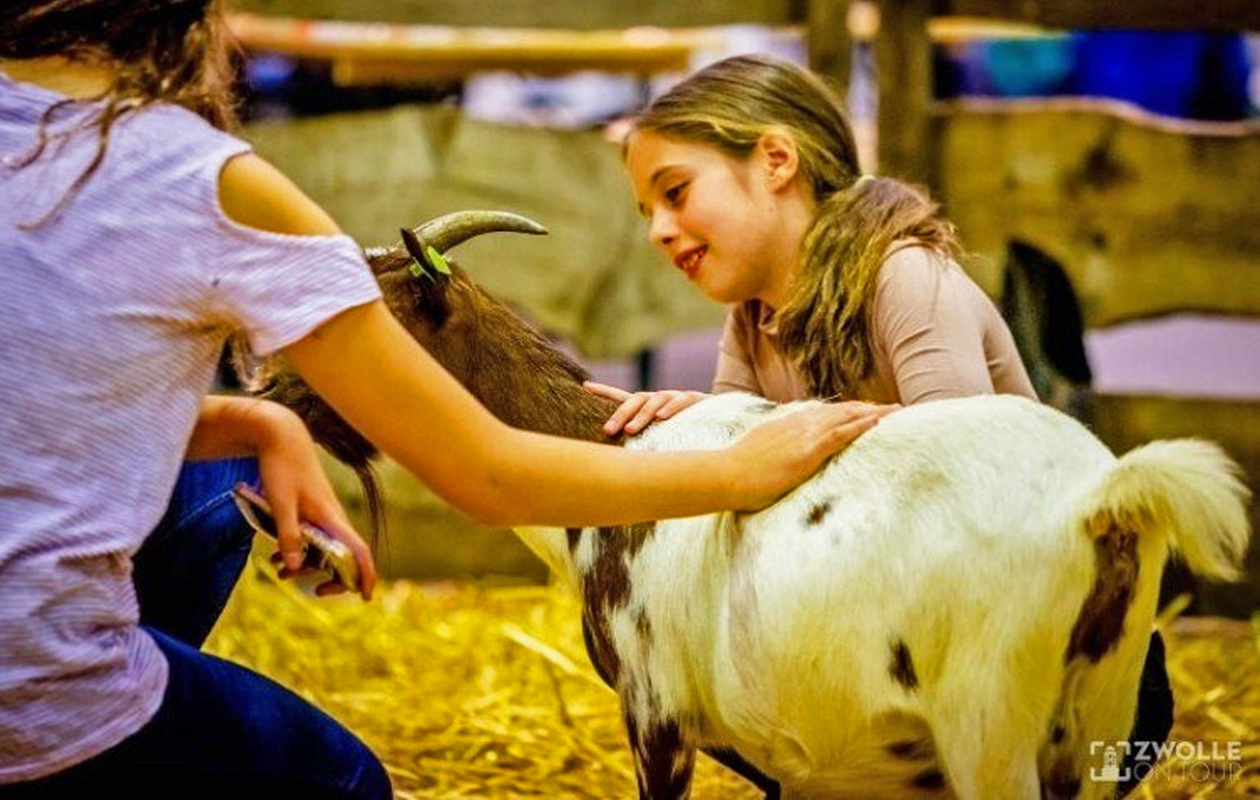 Ga in de herfstvakantie naar het indoor kinderparadijs Doe's Gek in Zwolle