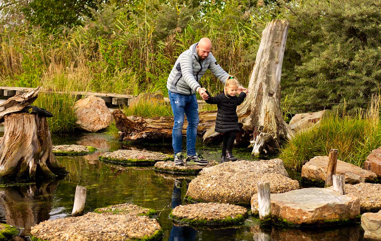 Entreeticket Dolfinarium