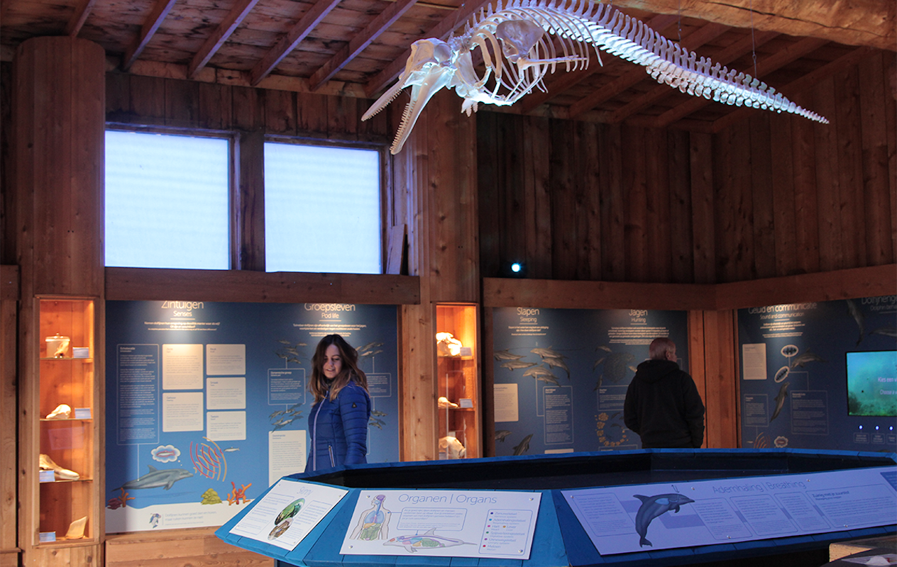 Entreeticket Dolfinarium