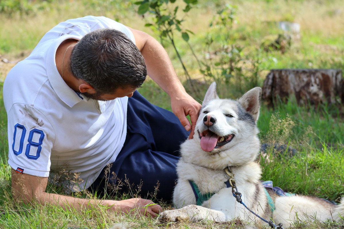 Dutch Husky Experience + High Tea