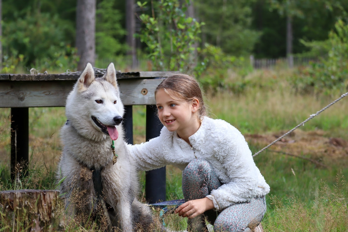 Dutch Husky Experience + High Tea