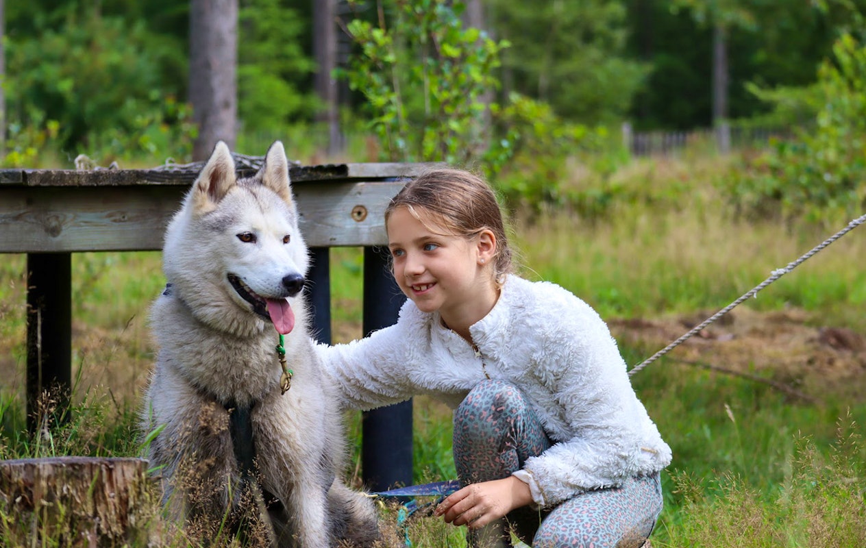 Dutch Husky Experience + High Tea
