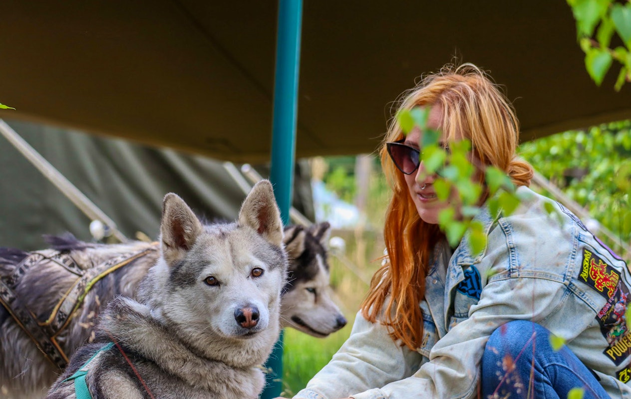 Dutch Husky Experience + High Tea