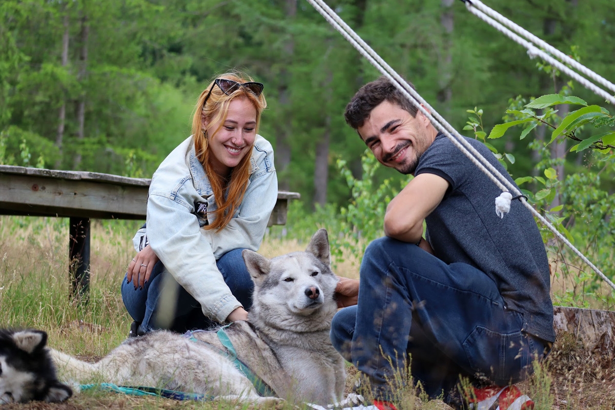 Dutch Husky Experience + High Tea