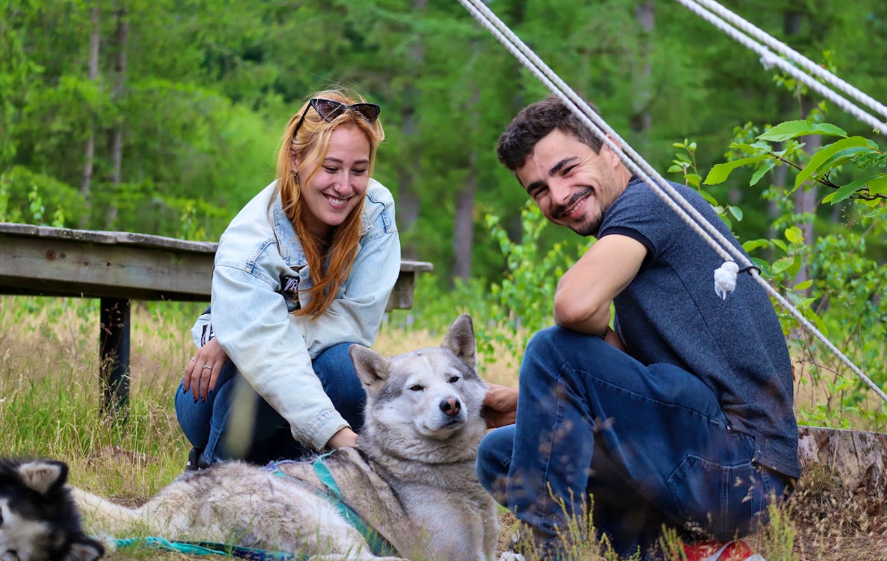 Dutch Husky Experience + High Tea
