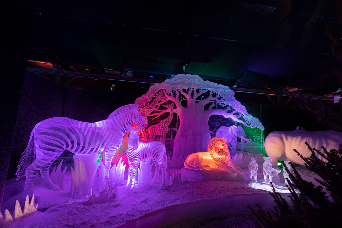 Entreeticket Het Nederlands IJsbeelden Festival