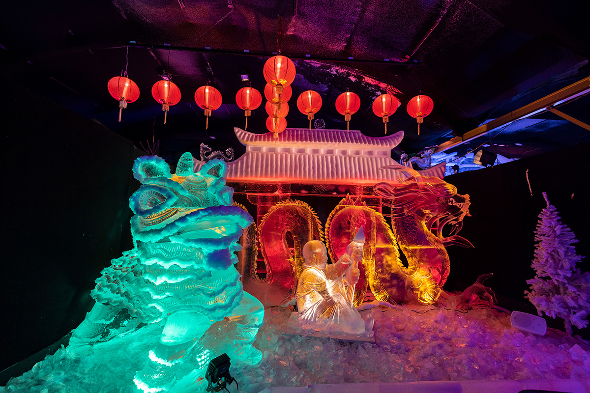 Entreeticket Het Nederlands IJsbeelden Festival