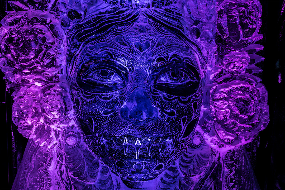 Entreeticket Het Nederlands IJsbeelden Festival