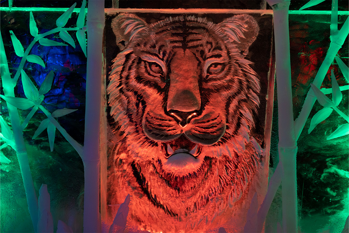 Entreeticket Het Nederlands IJsbeelden Festival