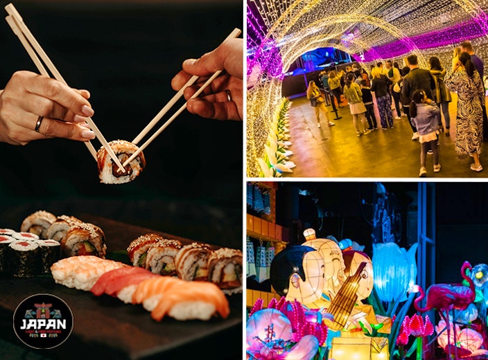 Entreeticket Japan & Korea Food & Light Festival Zaanstad 2025
