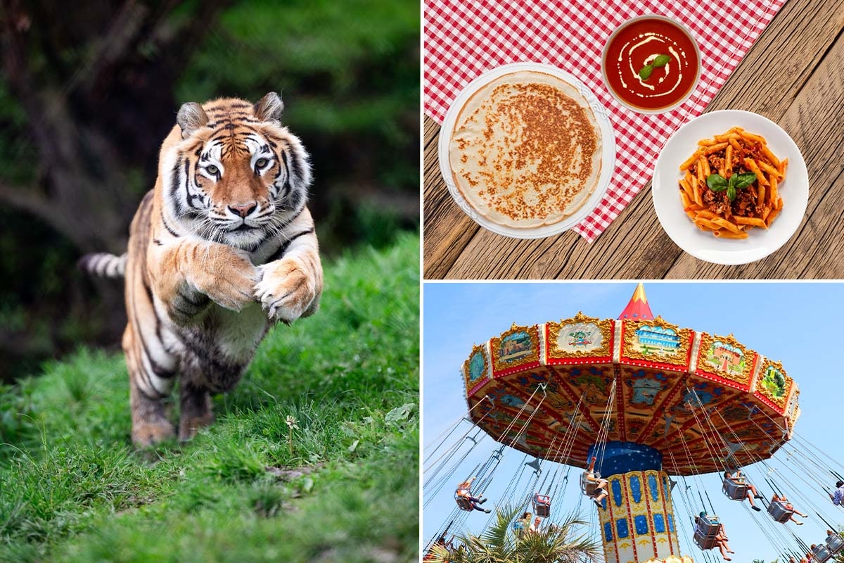 Tagesticket für Mondo Verde + all you can eat und drink