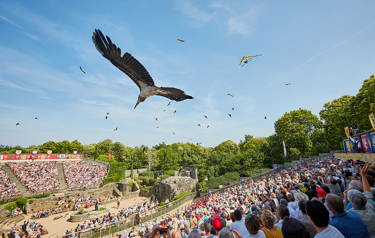 Puy du Fou, l’Histoire n’attend que vous 