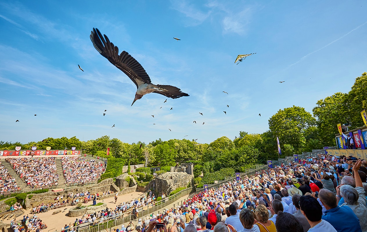Entreeticket themapark Puy Du Fou