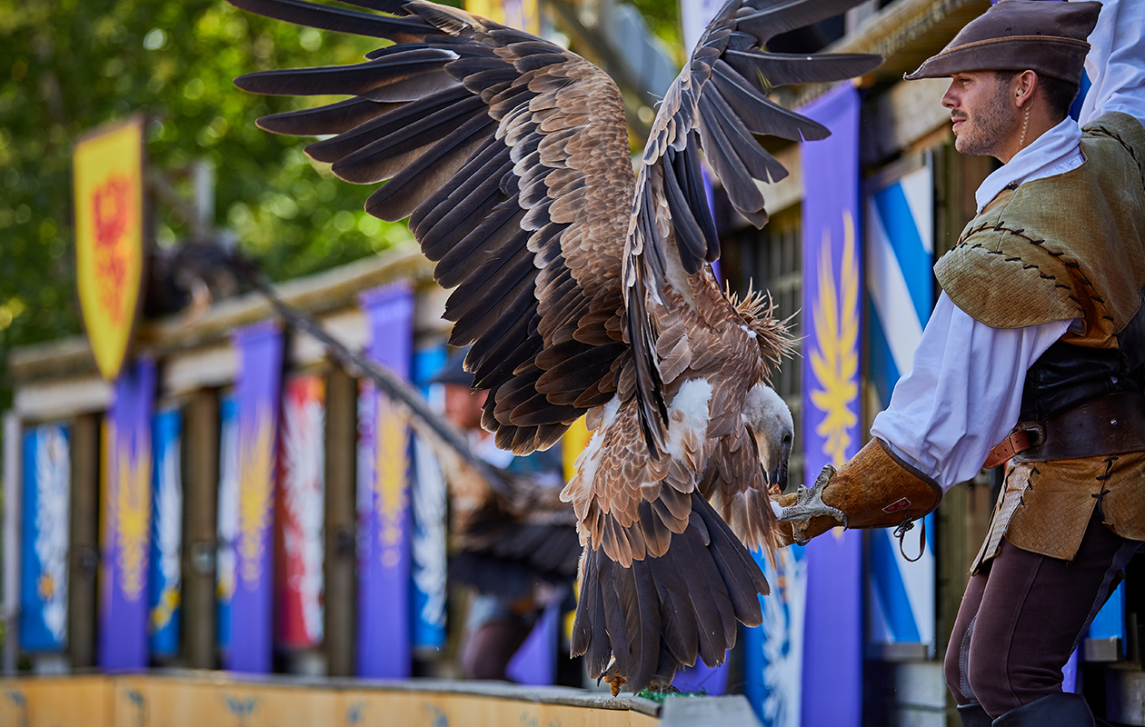 Puy du Fou, l’Histoire n’attend que vous 
