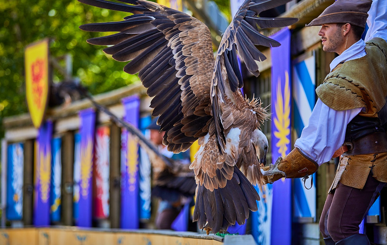 Entreeticket themapark Puy Du Fou