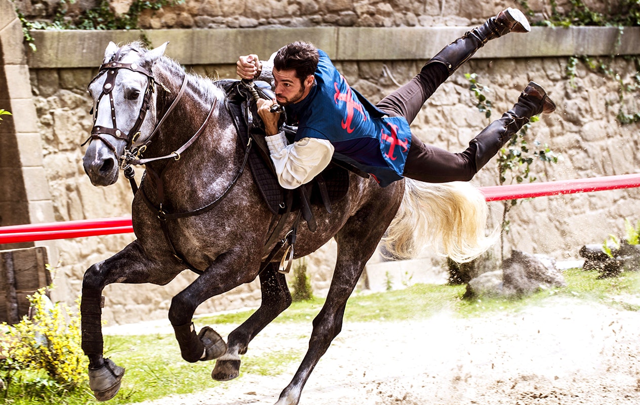 Entreeticket themapark Puy Du Fou