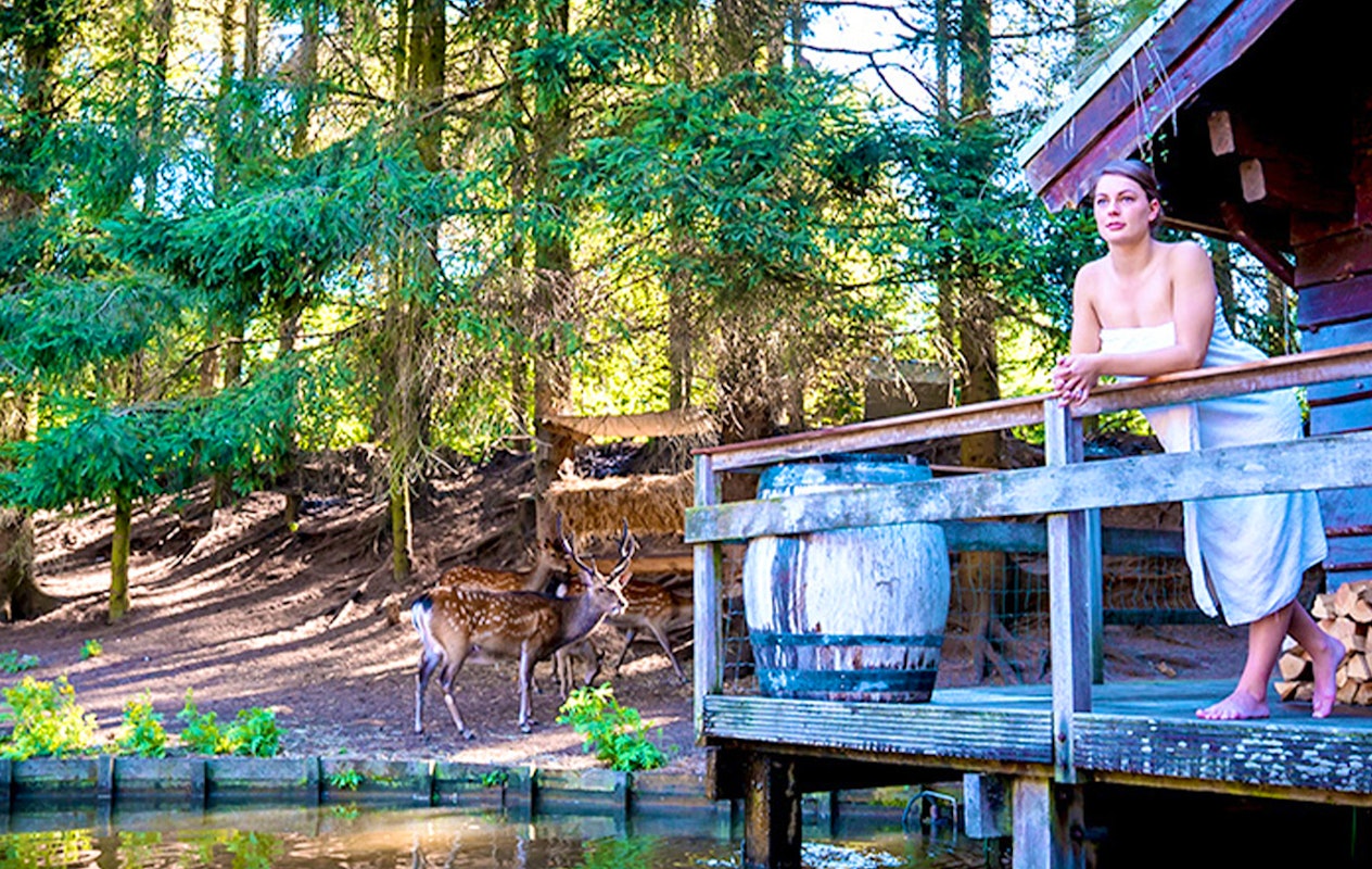 Dag of avondentree Sauna Drôme in Putten