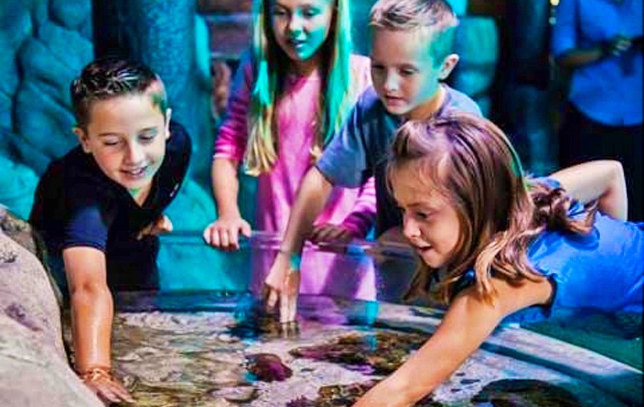 Entreeticket SEA LIFE Scheveningen