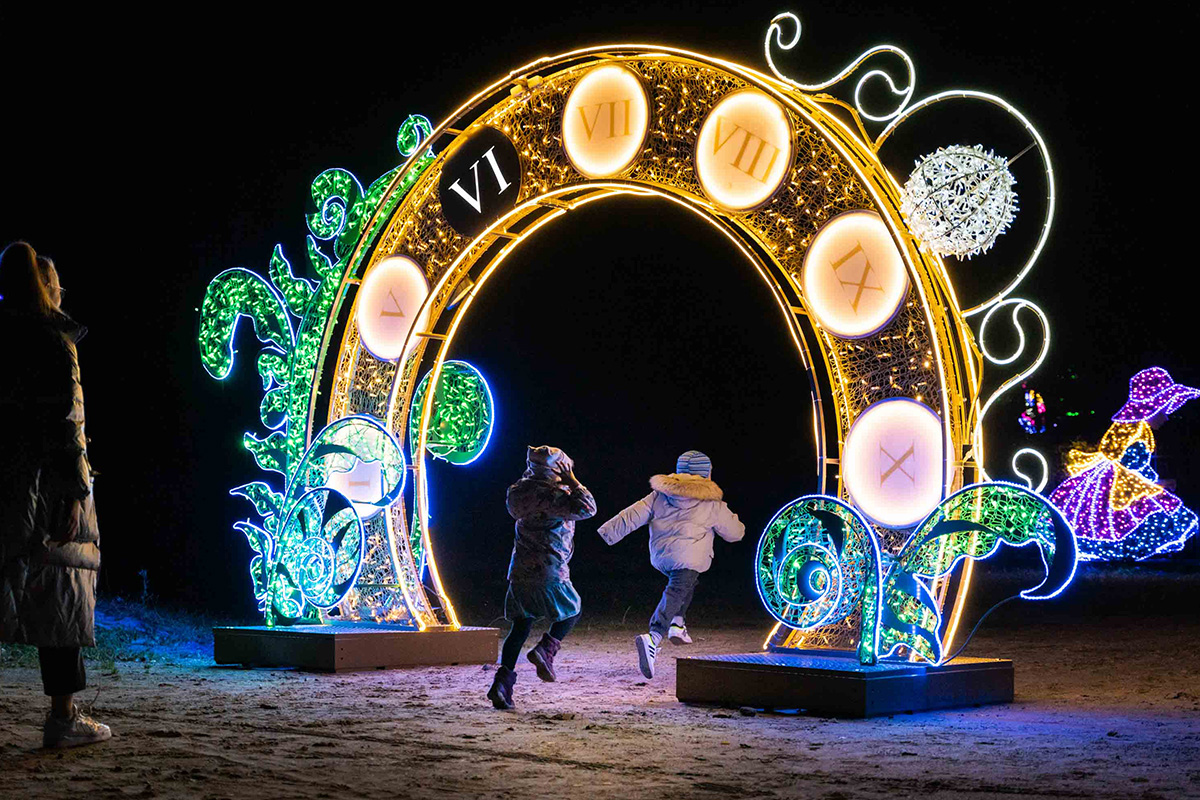 Entreeticket Steinerlights