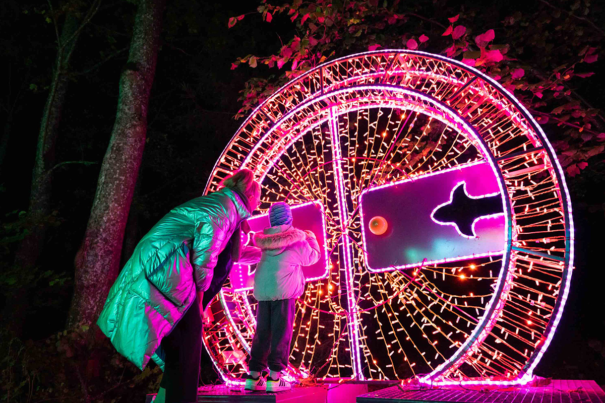 Entreeticket Steinerlights