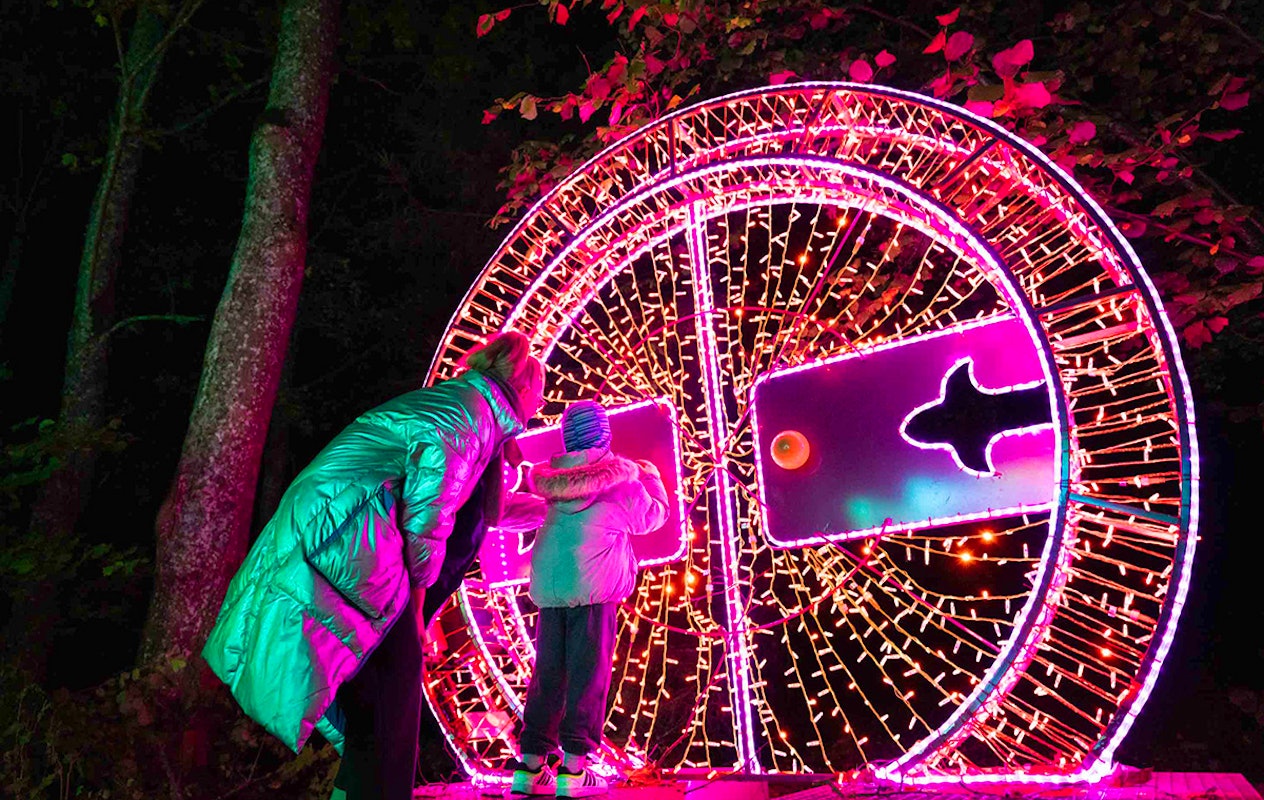 Entreeticket Steinerlights