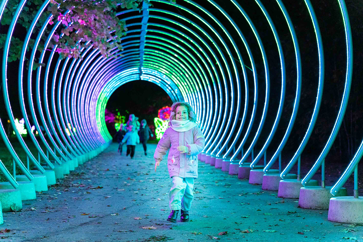 Entreeticket Steinerlights