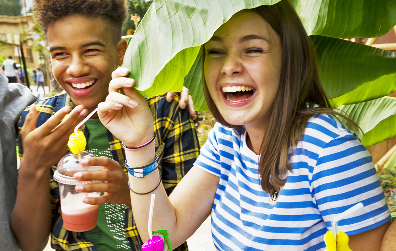 50-jarig jubileumticket Walibi Belgium