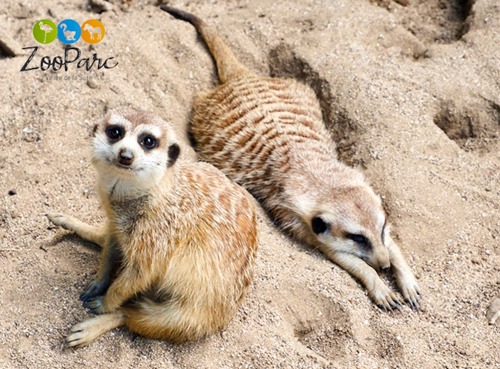 Entreeticket ZooParc Vallée de la Sûre