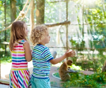 Tierpark Berlin