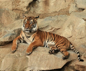 Tierpark Berlin