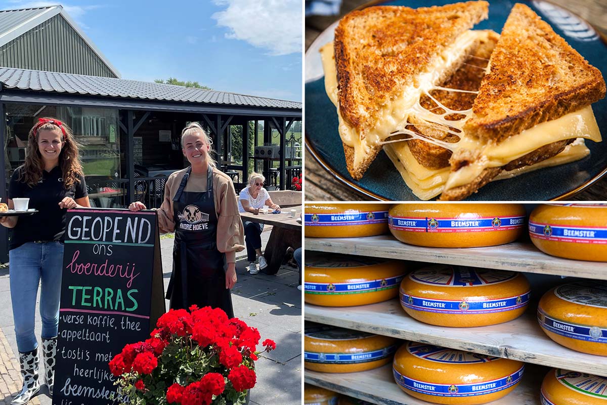 Beemster tosti of cake + warme drank of frisdrank